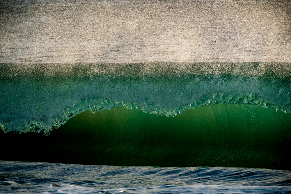 Beautiful wave